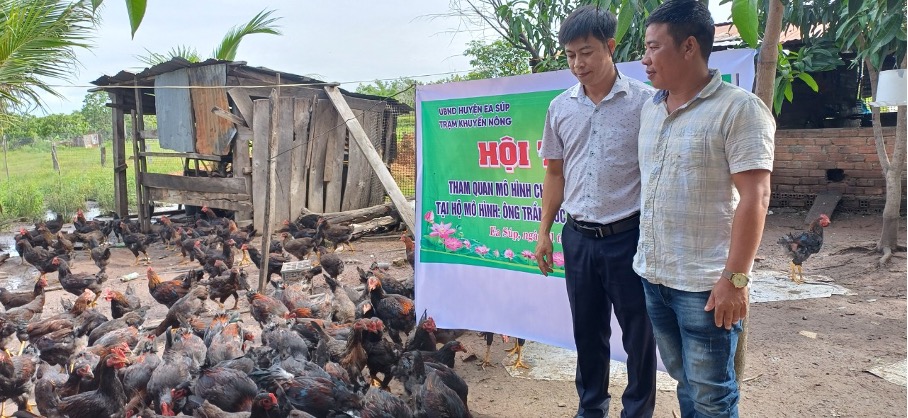 Hội thảo đánh giá mô hình chăn nuôi gà thương phẩm